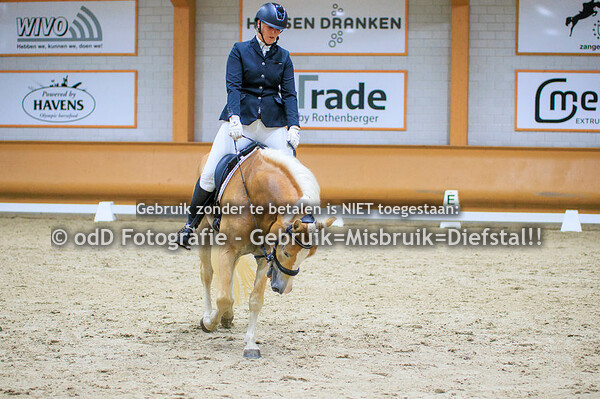 KVTH Tentoonstelling Jonge Paardenproef 24-08-23