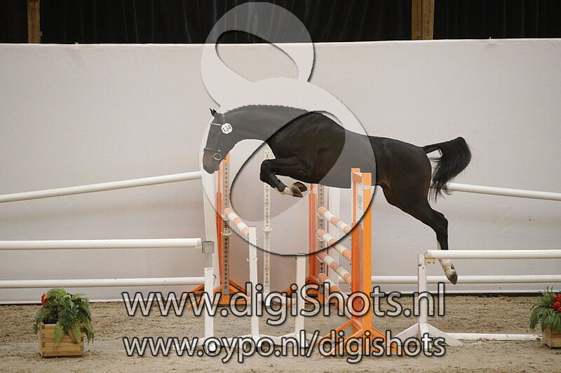 Mendoza VDL v. Harley VDL