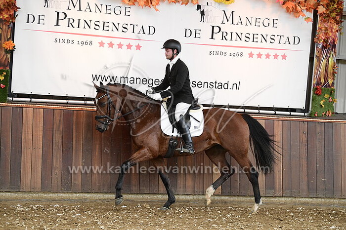 Damian Zwiers - Ocean Gold