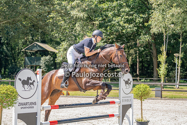 Galoppade 2024 100cm Paarden