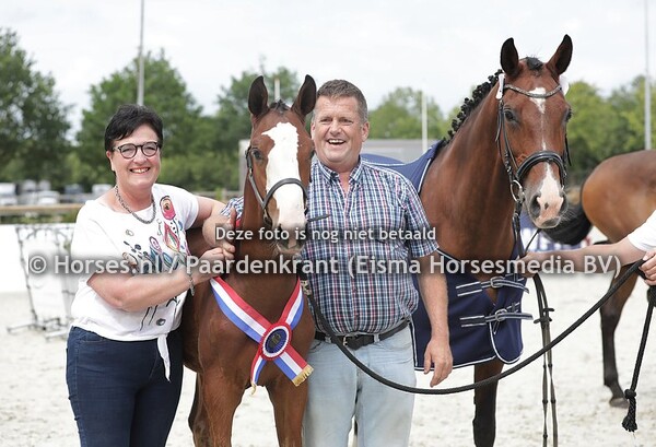 8 Rav (Grand Slam VDL x Alrike v, Cantios)