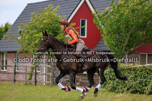 Vonk Event Paard Z 17-05-25