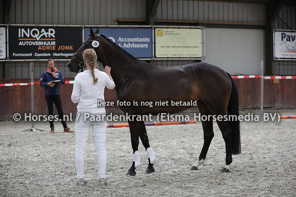 38 Livanto (George Clooney x Velina v. Rousseau)