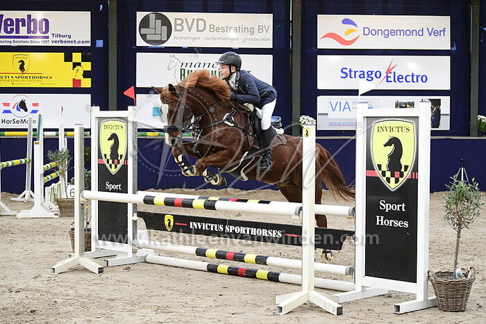 Merijn de Roo - Ashley Monty