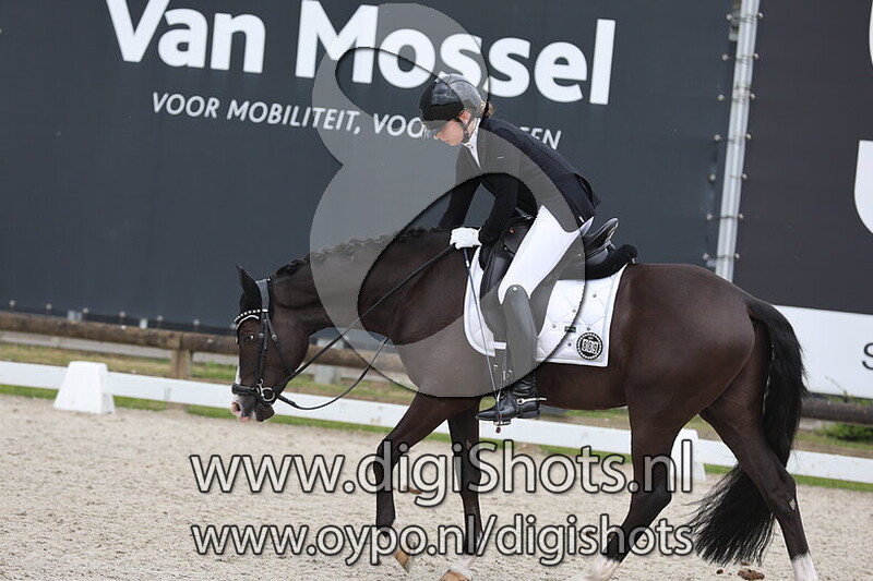 White Feet vh Bloemenhof