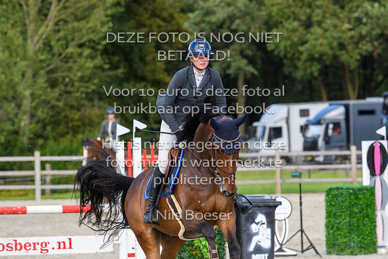 7 Paarden Klasse 110cm