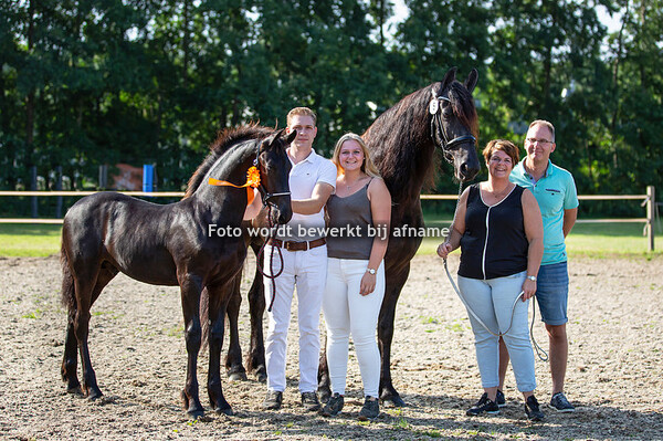 08. Matthys jr van de Waelhoeve