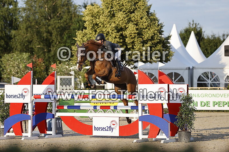 annelies vorsselmans