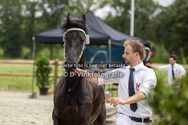 34. Rose BB van de Sprong