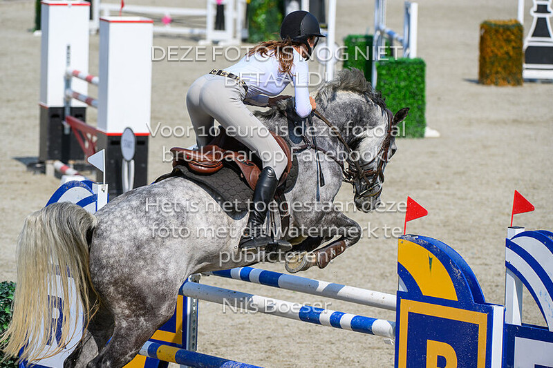 5 Paarden Klasse 130-135cm