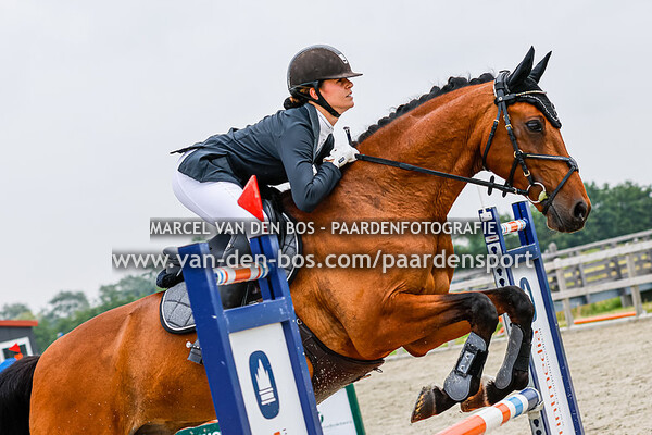 2021 Springwedstrijd Hillegom - Paard B