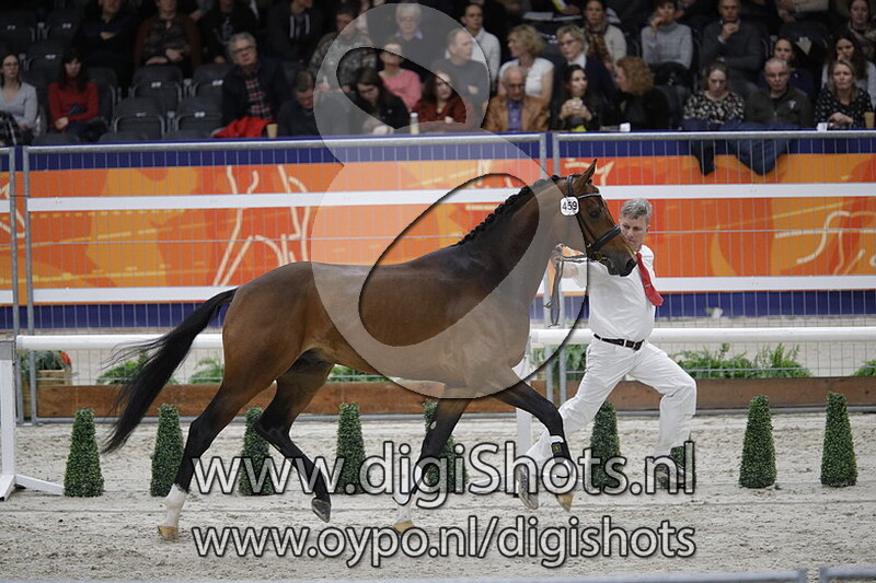 Movistar C vd Wijdewormer 459