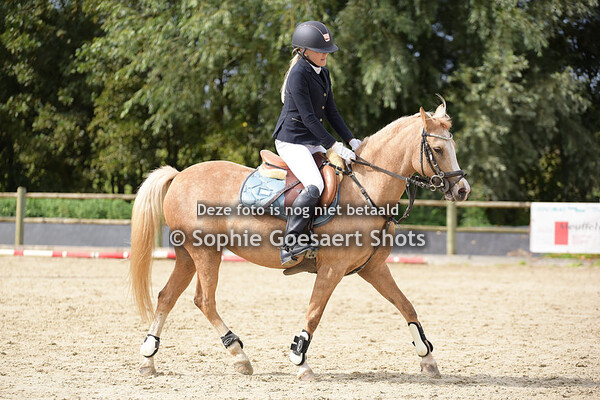 Ponies Hoogte 70 - Prijsuitreiking