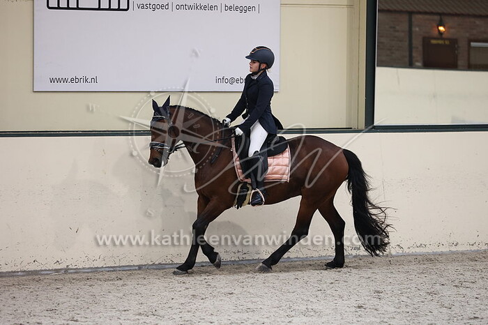 Isabella Gerbrands - Golden Bruce