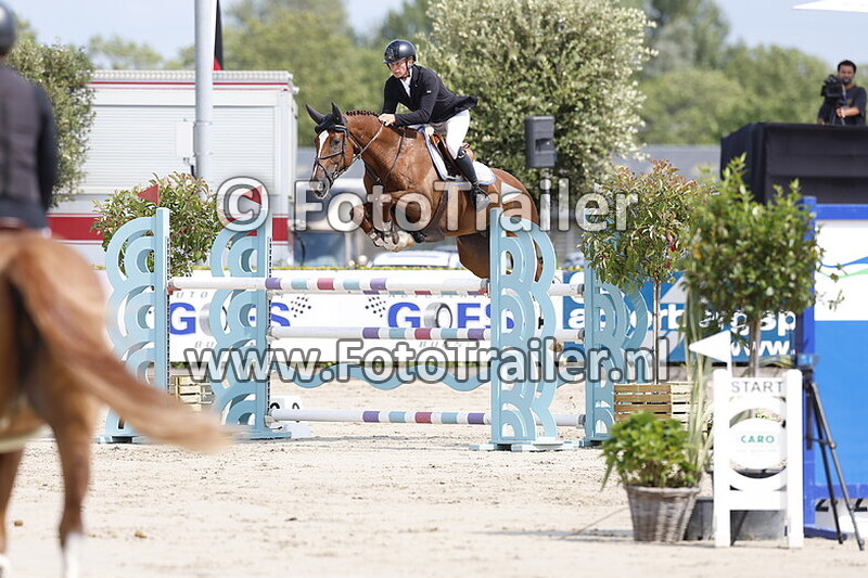 dennis van den brink