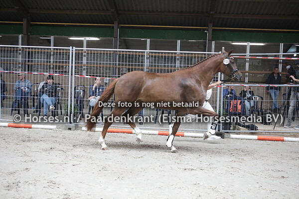 130 Maradin SV (For Romance x Faradin v. Jazz)