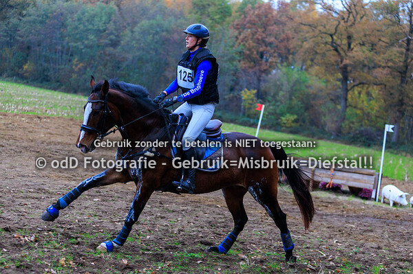 Eventing Rekken paard M 08-11-25