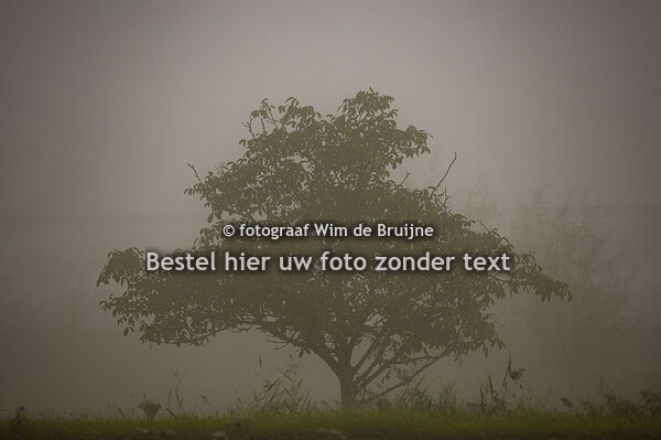 2023-09-09 MVV'85 jO7 1+2 - Haaften JO7 1