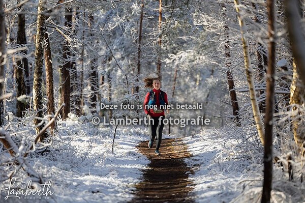 11-03-2023 Sallandtrail alle afstanden