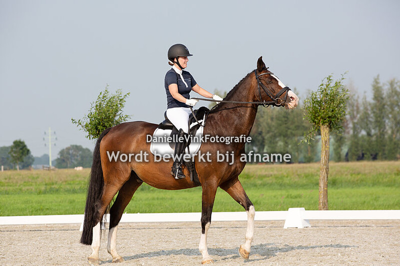 Dionne Lissenburg - Carino