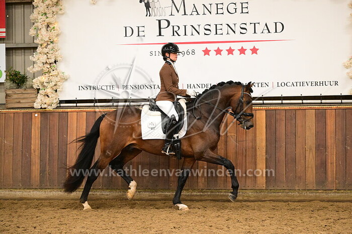 Devenda Dijkstra - Sammy H