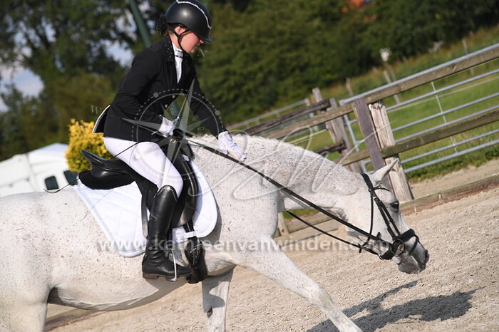 Klasse L2 pony's cat. DE