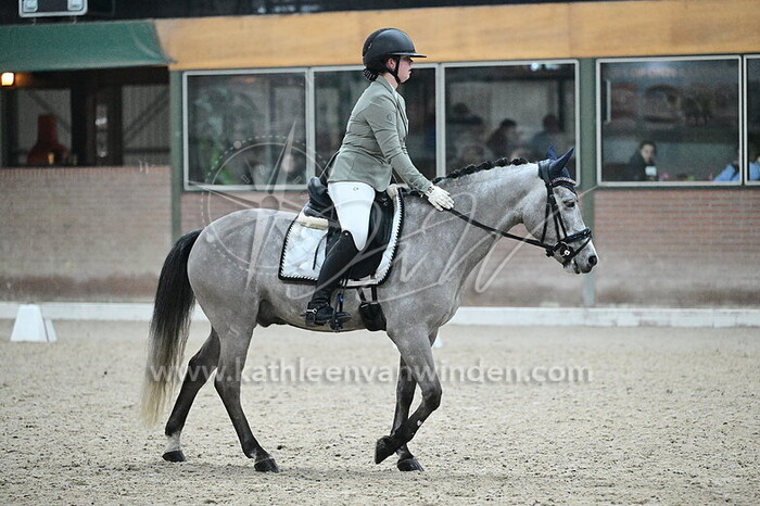 Roos Bosse - Indras Picasso