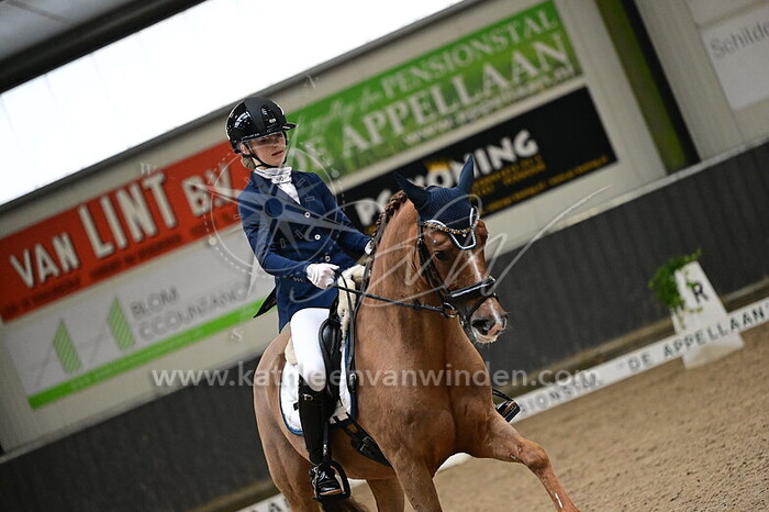 Suus van Schip - Make My Forest