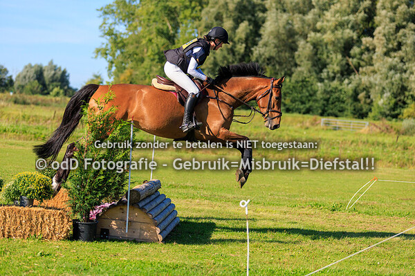 sgw geestmerambacht paarden b-intro 07-09-25