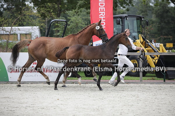 41 Pay Attention TK (Fontaine TN x Zomer Fee v. Cabochon)