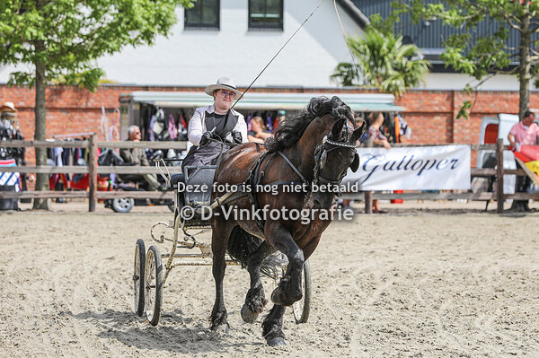 Open klasse tuigpaarden