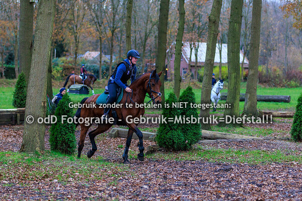 Trainingen Margo Millstream Groep 3 15.00 01-12-24