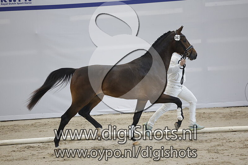 Portville v. Glamourdale - 367