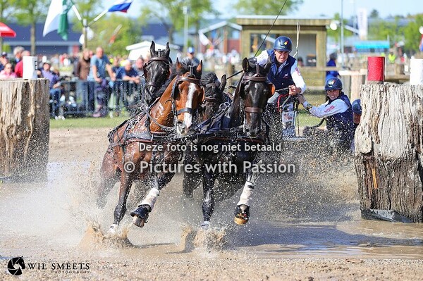 Horse Driving Kronenberg 2025