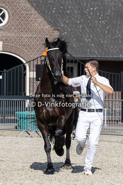 139. Silke van 't Driehuuske