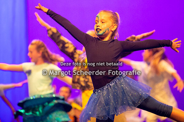 14 De vier elementen