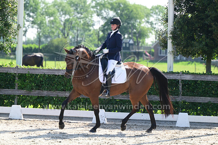 Kelly Maijoor - Odin