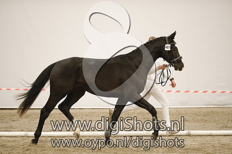 Matti Fleur F v. High Five US