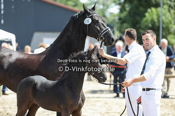 16. Yerrie fan Laurena