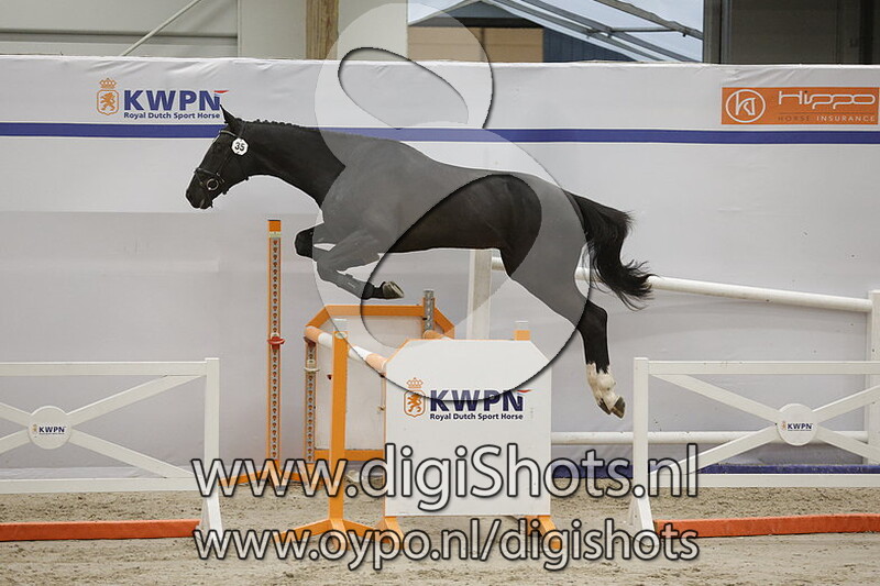 Reverse Vd Radstake v. Christian's Chacco - 035