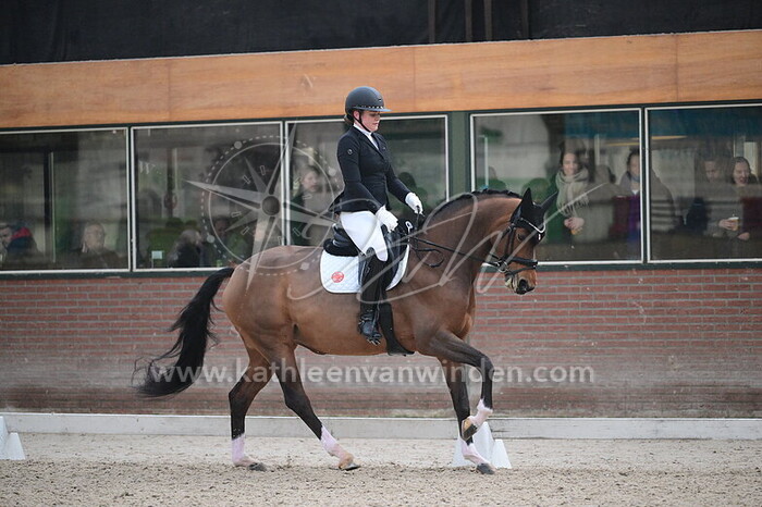 Janne Hiemstra - Fraulein Frisca G