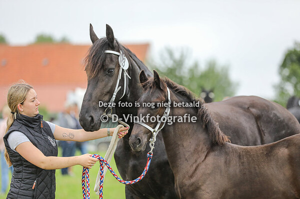 03. Tjibbe fan oan it Spoarwei