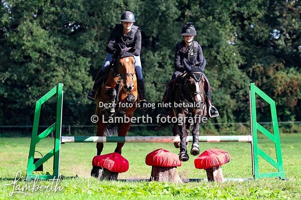 Boscross Zwolle 70-80cm