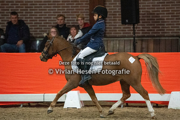 Youngstock show en veiling