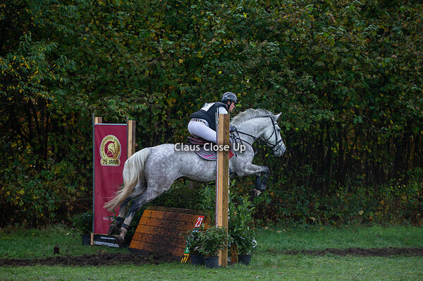 B paarden zonder dressuur