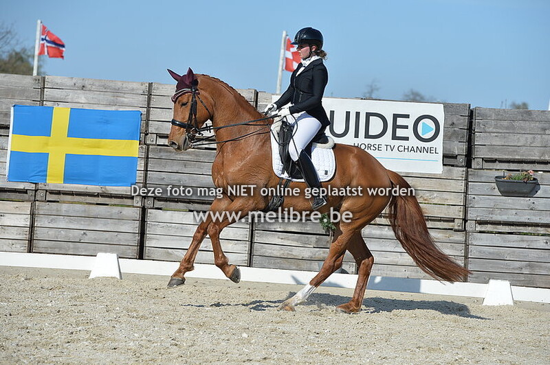 Gravenhof Oefendressuur 2021