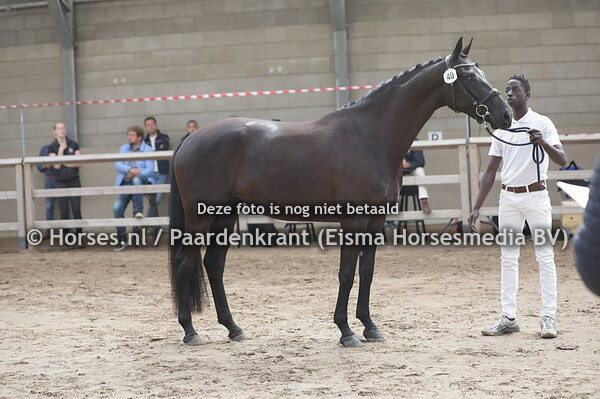 40 Ocession (Glock's Toto jr x Inasion v. Damon Hill)