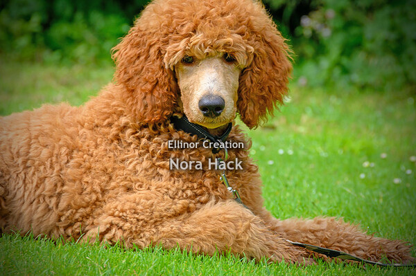 Vrijdag 25 juni 2021