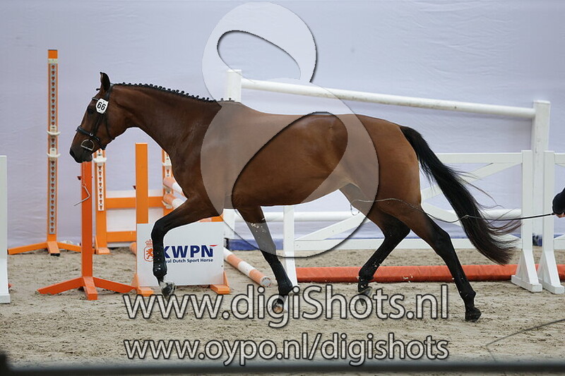 Sissy van de Vennen v. Conthargos