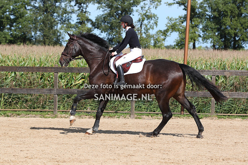 Manege Groenewoude Springen 24-09-2023 Paarden 60 cm t/m 90 cm